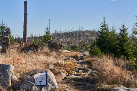 Gemeinde Neureichenau Landkreis Freyung-Grafenau Plöckenstein (Dirschl Johann) Deutschland FRG